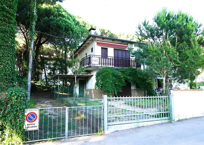 4b * ليدو ديلي ايستينسي